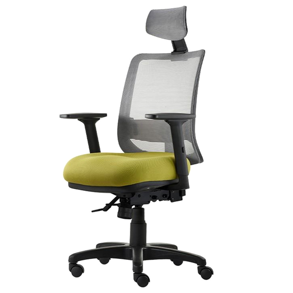 Ergonomic Lumbar Support Chair